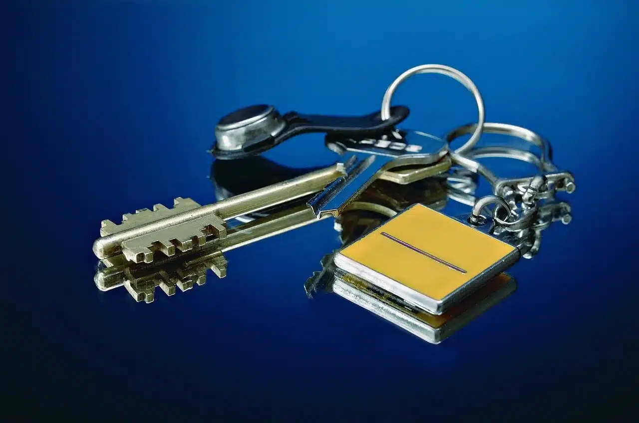 Image by Dmitriy from Pixabay